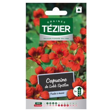Capucine de Lobb Spitfire TEZIER