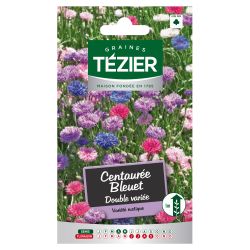 Centaurée Bleuet double variée TEZIER