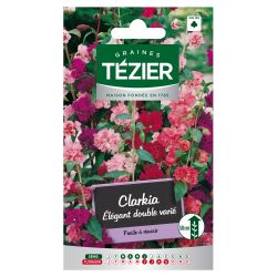 Clarkia Elégant double varié TEZIER