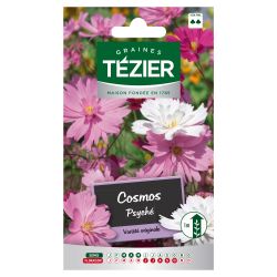 Cosmos Psyché TEZIER