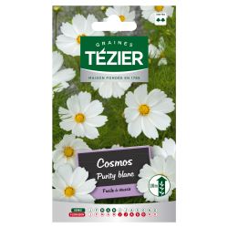 Cosmos Purity blanc TEZIER