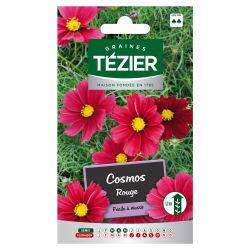 Cosmos rouge TEZIER