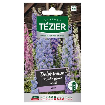 Delphinium Pacific Géant varié TEZIER