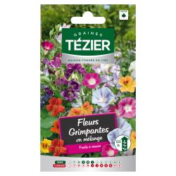 Fleurs Grimpantes en mélange TEZIER