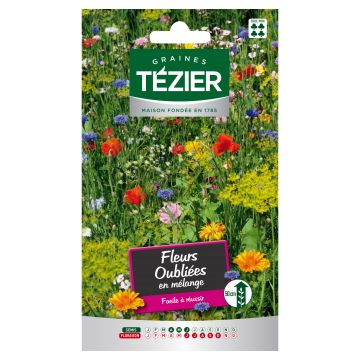 Fleurs Oubliées en mélange TEZIER