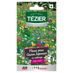 Fleurs pour gazon Japonais en mélange TEZIER