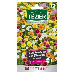 Fleurs Résistantes à la sécheresse en mélange TEZIER 