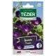 Ipomée Pourpre TEZIER