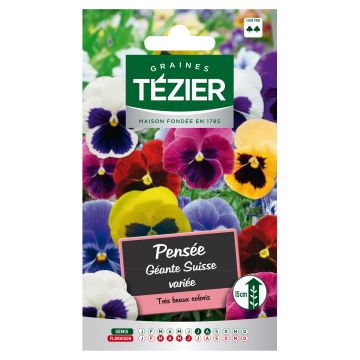 graines de fleurs Pensée Géante Suisse variée TEZIER