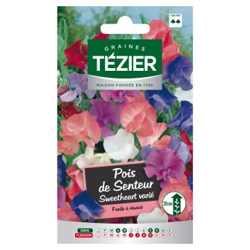 Pois de Senteur Sweetheart varié TEZIER