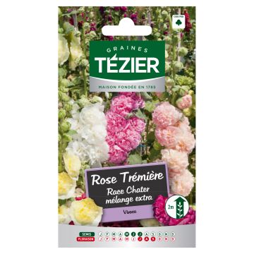 Rose Trémière Race Chater Mélange Extra TEZIER