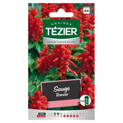 Sauge Brasier TEZIER