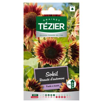 Soleil Beauté d'Automne TEZIER