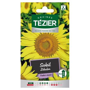 Soleil Zébulon TEZIER