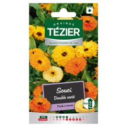 Souci Double varié TEZIER