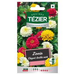 Zinnia Elégant Double varié TEZIER