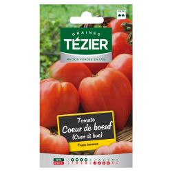 Tomate Coeur de Boeuf TEZIER