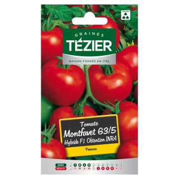 Tomate Montfavet 63/5 Hybride F1 Obtention INRA TEZIER