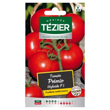 Tomate Prémio Hybride F1 TEZIER