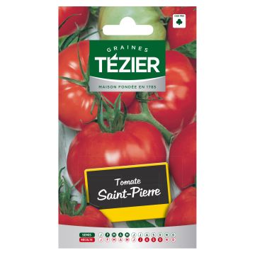 Tomate Saint-Pierre TEZIER