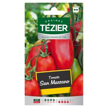 Tomate San Marzano TEZIER