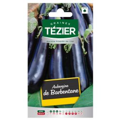 Aubergine de Barbentane TEZIER