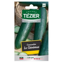 Concombre Le Généreux TEZIER