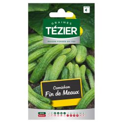 Cornichon Fin de Meaux TEZIER