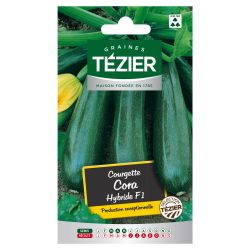 Courgette Cora Hybride F1 TEZIER