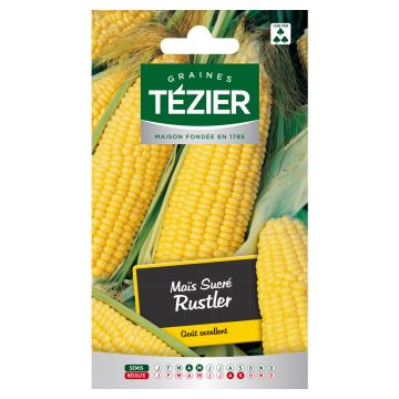 Maïs Sucré Rustler TEZIER