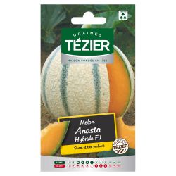 Melon Anasta Hybride F1 TEZIER