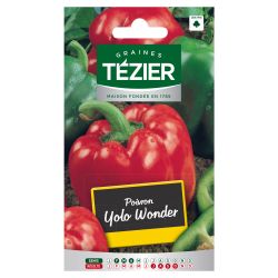 Poivron Yolo Wonder TEZIER
