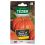 Potiron Rouge vif d'Estampes TEZIER