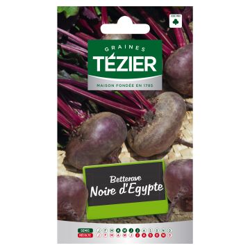 Betterave Noire d'Egypte TEZIER