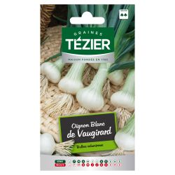 Oignon Blanc de Vaugirard TEZIER