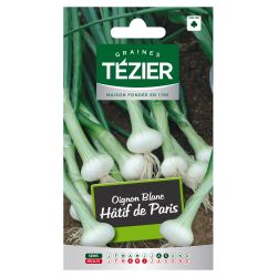 Oignon Blanc Hâtif de Paris TEZIER