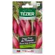 Oignon Rouge de Florence TEZIER