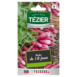 Radis de 18 jours TEZIER