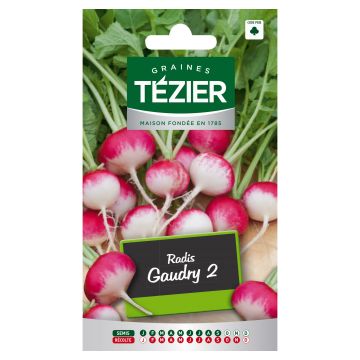 Radis Gaudry 2 TEZIER