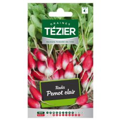 Radis Pernot clair TEZIER
