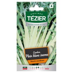 Cardon Plein blanc inerme TEZIER