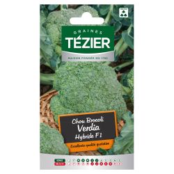 Chou Brocoli Verdia Hybride F1 TEZIER