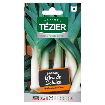 Poireau Bleu de Solaise TEZIER