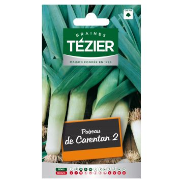 Poireau de Carentan 2 TEZIER