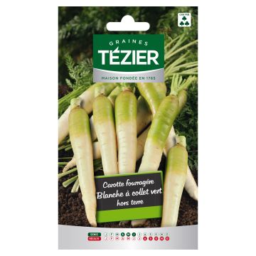graines potagères Carotte fourragère Blanche à collet vert hors terre ...
