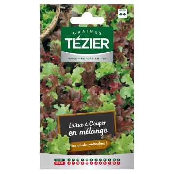 Laitue à Couper en mélange TEZIER