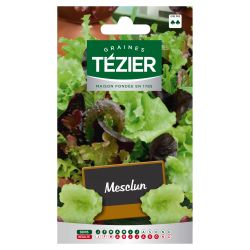 Mesclun TEZIER