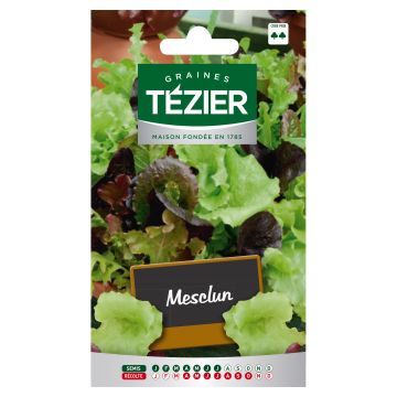 Mesclun TEZIER