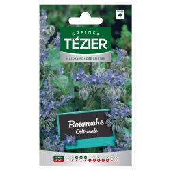 Bourrache Officinale TEZIER