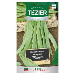 Haricot à rames mangetout Planeta TEZIER
